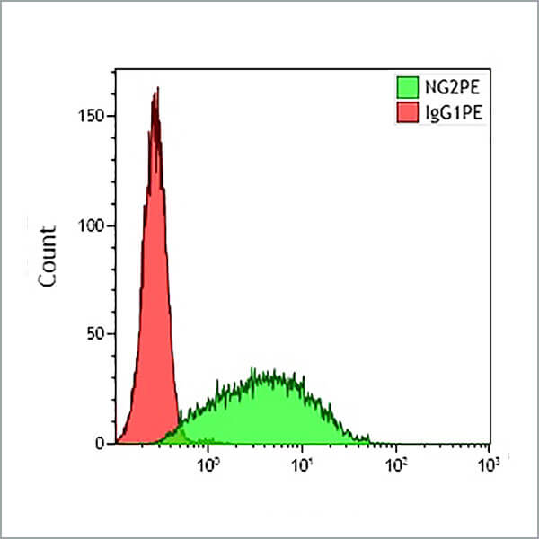 B92429_NG2-PE, 7.1, 100 Tests, CE