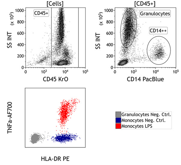 C21858_DURAClone IF Monocyte Activation Tube, 25 Tests, RUO